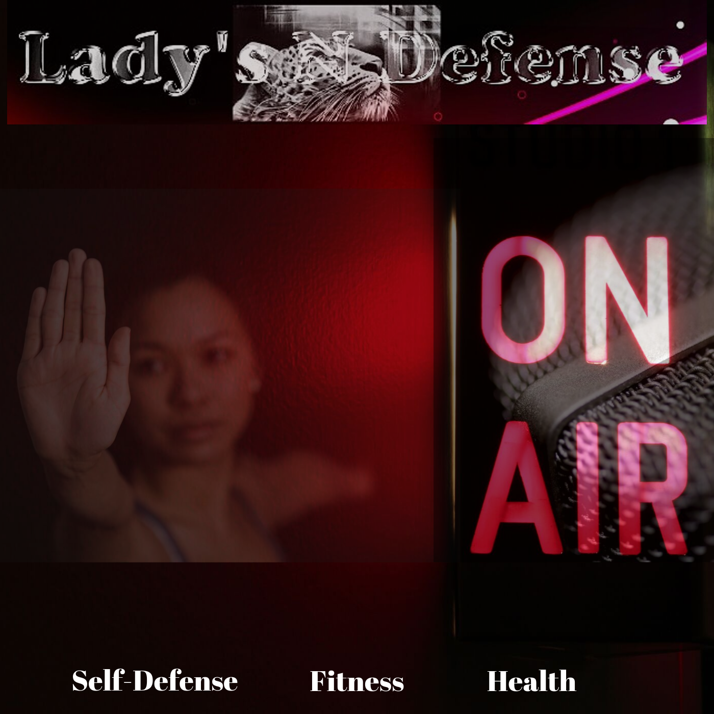 Lady's N Defense